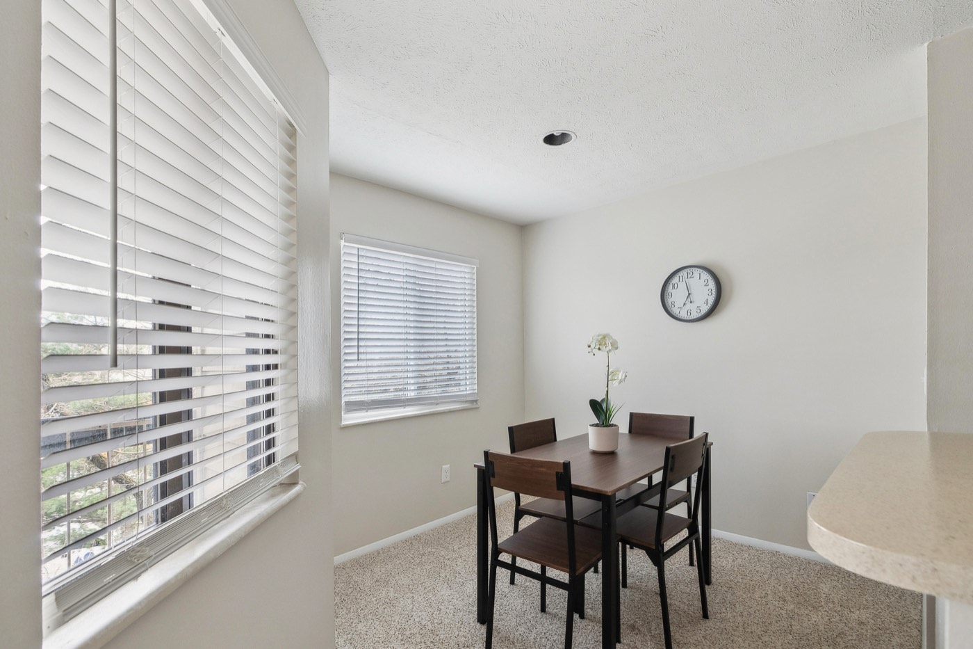 Northwoods unit 8087-3C photo 4