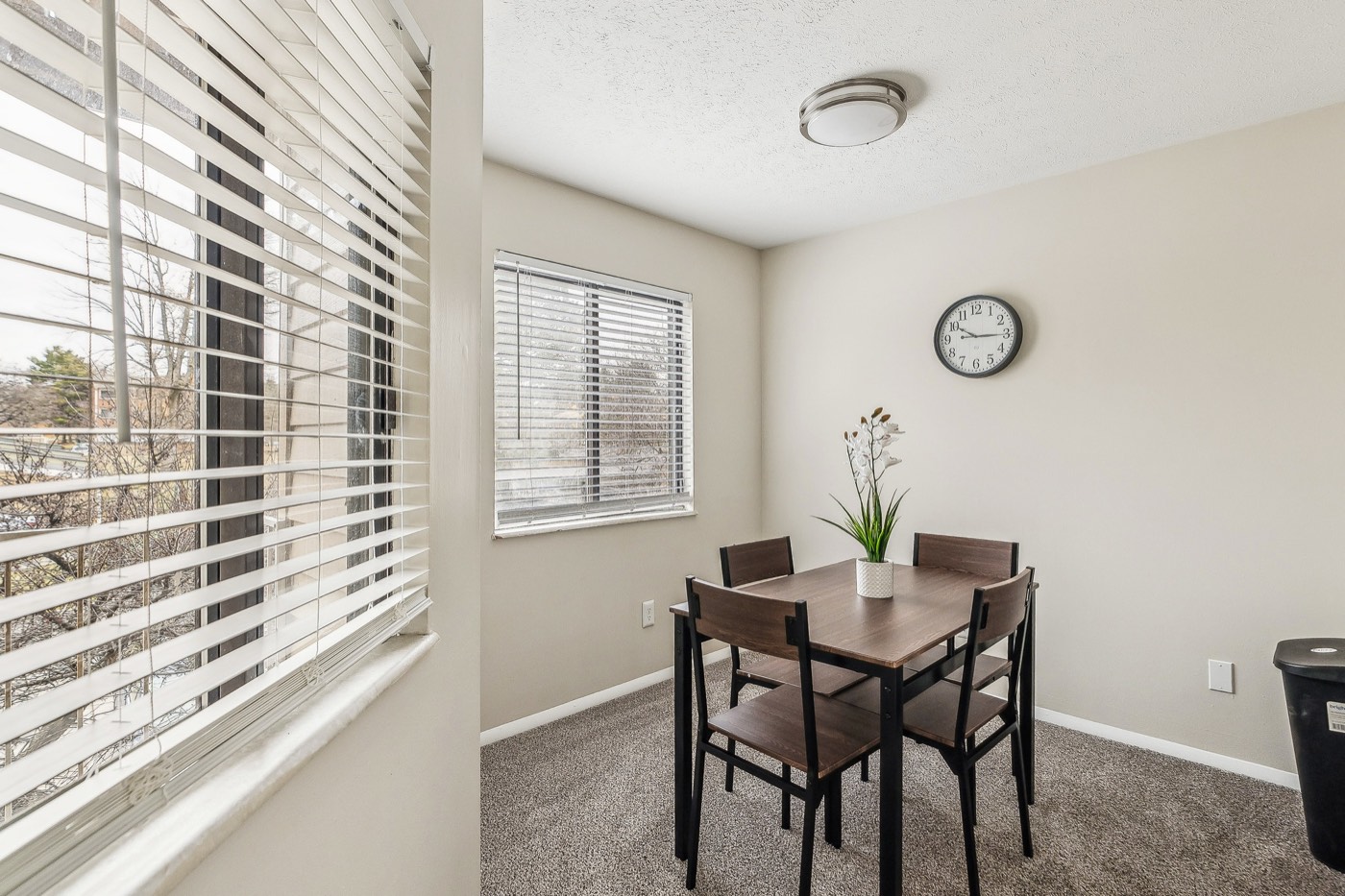 Northwoods unit 8241-3C photo 6