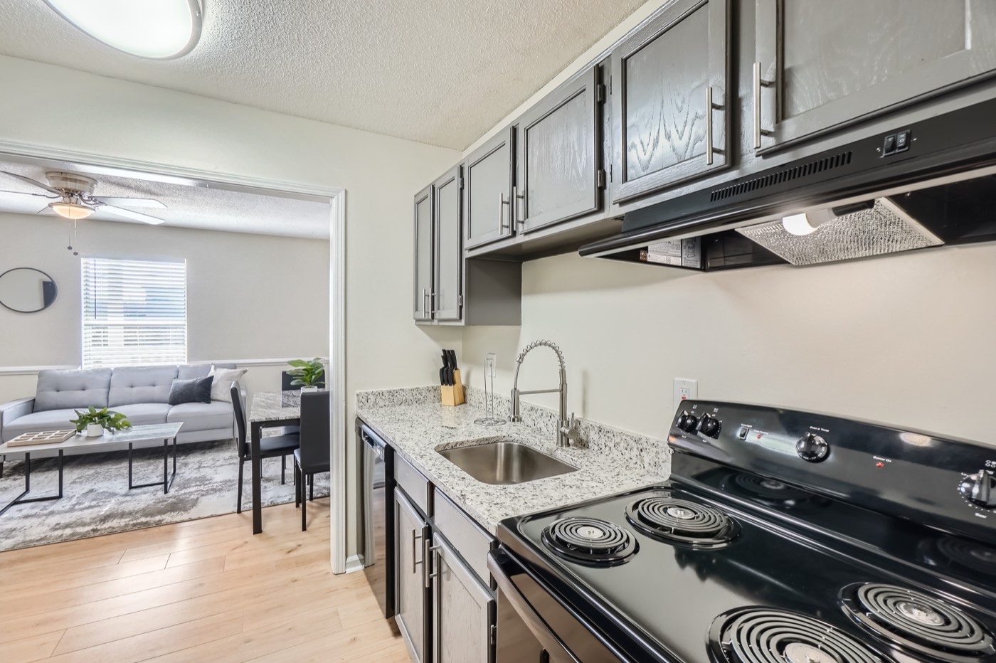 Overlook Club unit C5 photo 10
